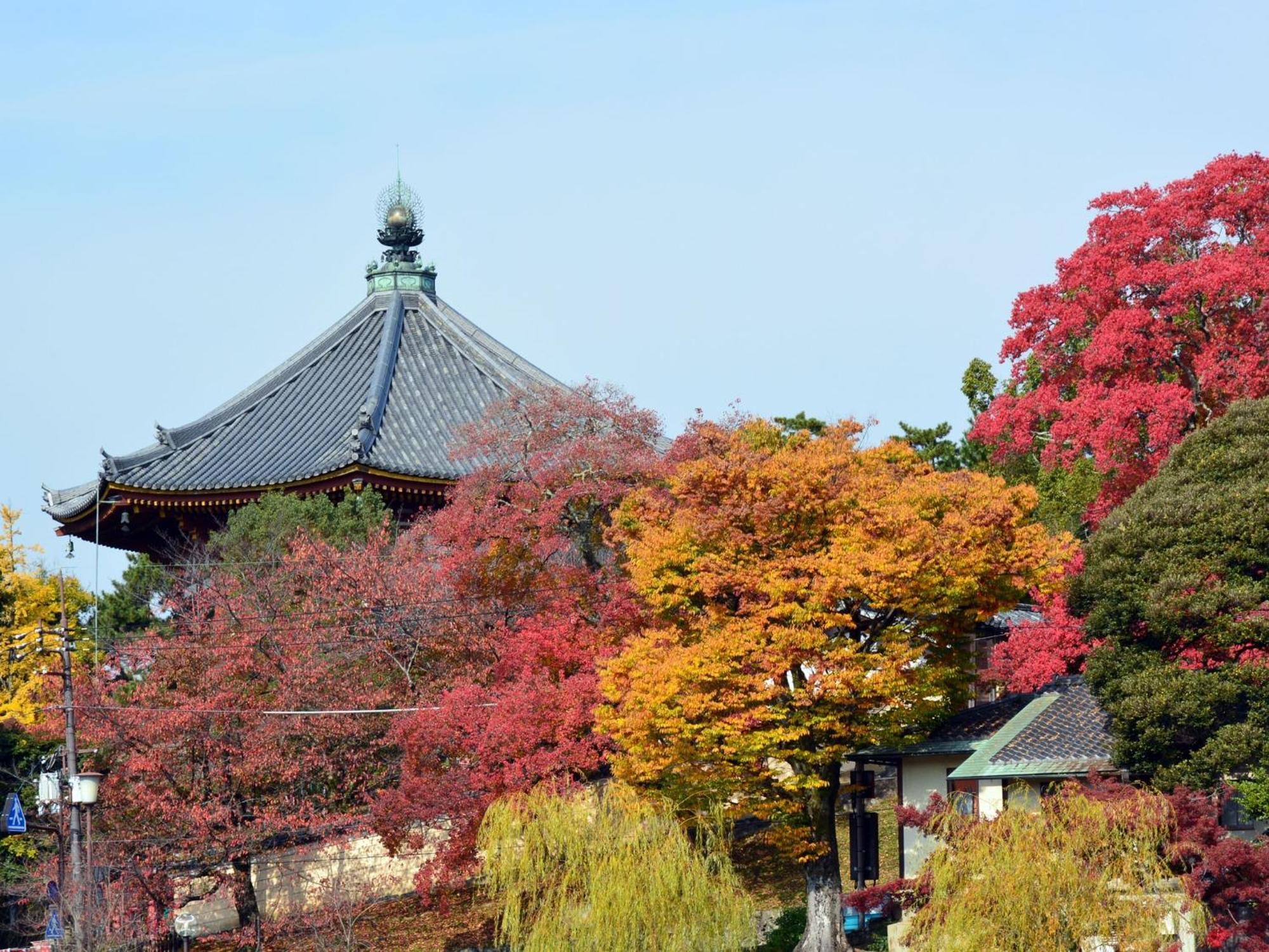 Nara - Hotel / Vacation Stay 47950 Zewnętrze zdjęcie